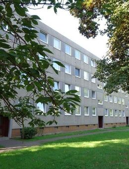 Perfekt für uns: großzügige 3-Zimmer-Wohnung - Kassel