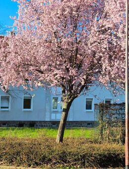 Schöne 2-Raum-Wohnung mit Fußbodenheizung (erster Einzug) - Trebsen (Mulde)
