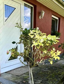 Energieeffizientes Wohnen mit vielen Extras in Bentwisch - Bentwisch