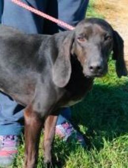 Piombo in Not - Würzburg