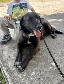 Sanftes kinderliebes XL Mädchen ALMA ♥️ - München