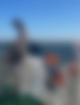 Chr*** - Waldbrunn (Westerwald)