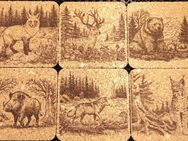 6 Untersetzer Motiv Waldtiere gelasert Kork - Osterode (Harz)