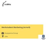 Werkstudent Marketing (m/w/d) - Ulm