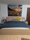 Doppelbett Ikea Malm 180x200 in 81825