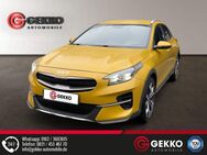 Kia XCeed, Upgrade APP SZH, Jahr 2021 - Gersthofen