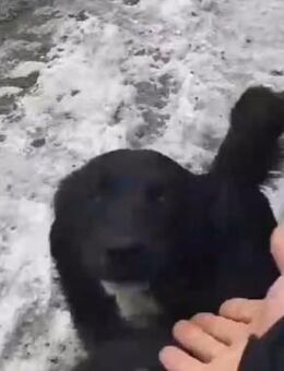 Freundliche Chica sucht - Mönchengladbach