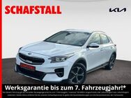 Kia - Bergheim (Nordrhein-Westfalen)