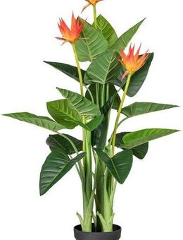 Kunstpflanze Guzmania, Creativ green, Höhe 105 cm