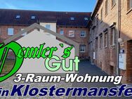 Wohnanlage "Oemler`s Gut" - 3-Raum-Wohnung - Klostermansfeld