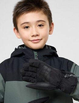 Jack Wolfskin Skihandschuhe 2L WINTER GLOVE K