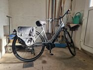 Verkaufe 28 er E-Bike - Schneeberg (Sachsen)