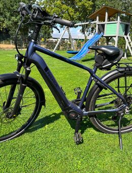Pegasus Strong Evo 10 lite - Wietmarschen