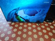 Hisense Led TV smart 58 zoll - Kassel