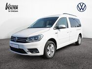 VW Caddy, 2.0 TDI Maxi Life Comfortline, Jahr 2019 - Uelzen