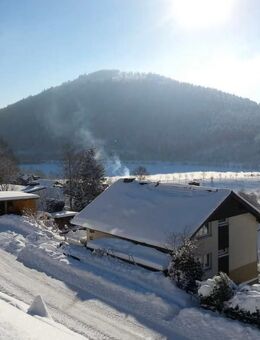 Wohlfühl-Appartement mit Seeblick - Winterberg - Winterberg