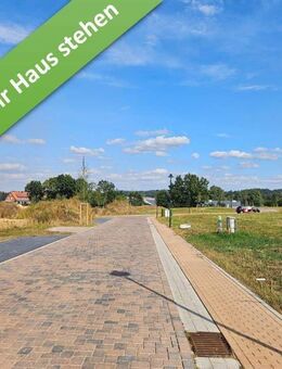 Mit Grundstück, ein Haus mit Charme in Bispingen. - Bispingen