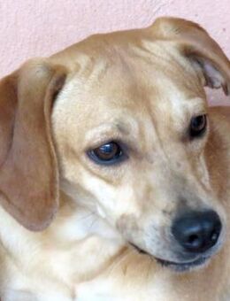 Fern 2 -auf der Straße geboren- - Oldenburg