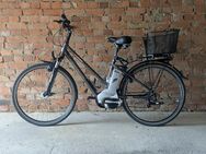 Kalkhoff Pedelec Panasonic (Touren/ City-Bike) Damen - Erfurt