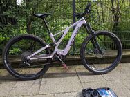 Specialized Nevo 29 NB - Mönchengladbach