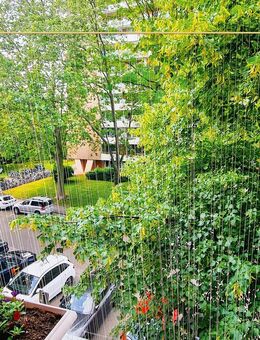 ehemalige Senioren Wohnanlage in Freiburg Zähringen - Freiburg (Breisgau)