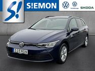 VW Golf Variant, 8 TDI Life, Jahr 2021 - Ibbenbüren