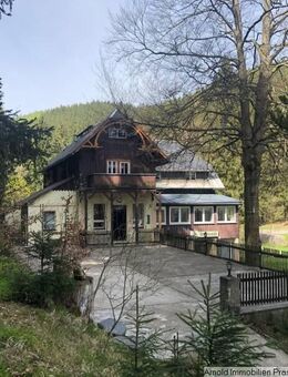 MFH/ Landhaus/ ehemalige Pension in idyllischer Lage im Osterzgebirge zum Aus- u. Umbauen - Altenberg