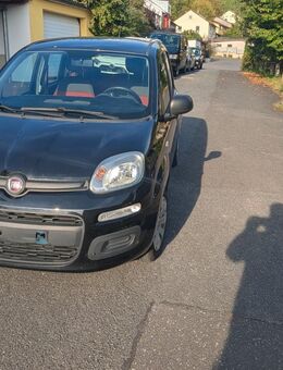 Fiat Panda - Erlenbach (Marktheidenfeld)