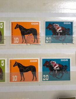 Pferde 1967 Michel-Nr.: 1302-1305 Briefmarken DDR - Zwickau