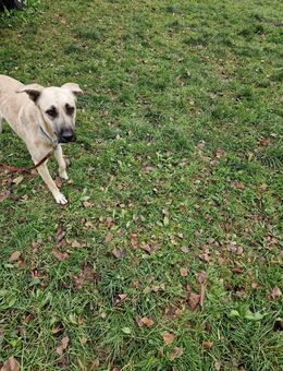 Lotti sucht ihr Dreamteam - Frankfurt (Main) Niederrad