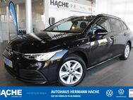 VW Golf, 2.0 TDI 8 Life, Jahr 2022 - Blomberg (Nordrhein-Westfalen)