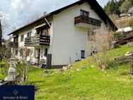 Voll vermietetes Mehrfamilienhaus auf großem Grundstück - Lenzkirch