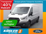 Ford Transit, Kasten 350 L3H2 Trail 170PS, Jahr 2023 - Bad Nauheim
