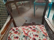 Sessel chippendale - Zeulenroda-Triebes