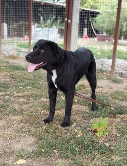 HARIBO - laßt uns spielend viel lernen - Overath