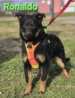 ❤️ Ronaldo - Kissing