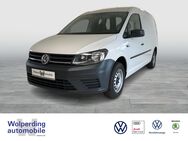 VW Caddy, 2.0 TDI Maxi Kasten, Jahr 2020 - Winsen (Luhe)