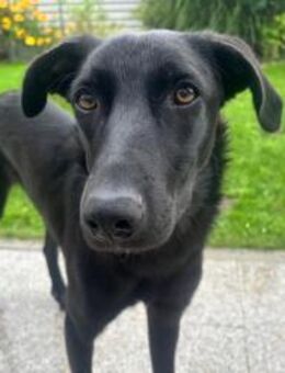 Elektra voller Energie und Liebe ❤ - München