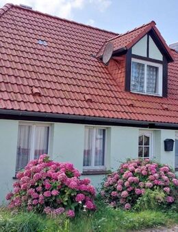 AUS ALT MACH NEU - CHARMANTES HAUS SUCHT NEUE/N EIGENTÜMER - Sundhagen