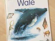 Mein erstes Frage- und Antwortbuch, Wale - Kindersachbuch - Bremen