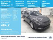 VW Golf, 2.0 TDI VIII Move Gar 2029, Jahr 2024 - Mannheim