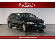 VW Golf 2.0 TDI R-Line-Navi-Massage-AHK-ACC-SHZ-PDC - Bebra