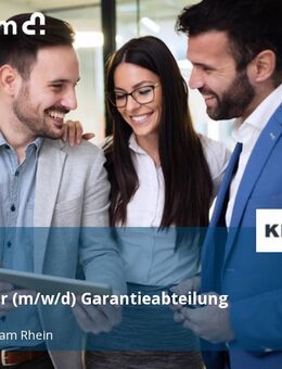 Teamleiter (m/w/d) Garantieabteilung - Stockstadt (Rhein)