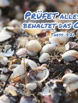 Poster A2 Jahreslosung 2025 - Frisch angespülte Muscheln - Plakate zur Jahreslosung - Schaukastenposter - - Wilhelmshaven Zentrum