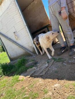Venus und Gaia - verzaubern... - Marienfließ