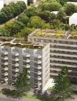 2-Zimmer-Wohnung mit großem Balkon und Dusche - Dresden