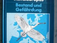 Brutvögel Mitteleuropas Bestand Gefährdung Bauer Berthold Buch - Flensburg