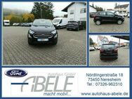 Ford EcoSport Cool & Connect - Neresheim