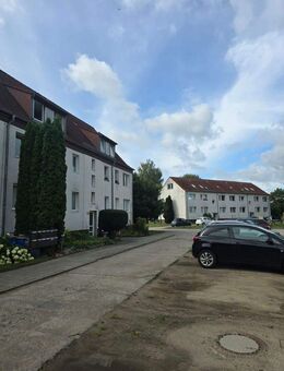 5x Wohnung zur Vermietung in Joachimsthal - Verfügbar ab November 2025 - Joachimsthal