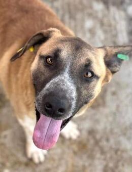 GODY ~ der Herzensbrecher - Duisburg